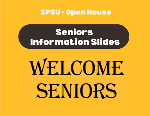 Senior Slides